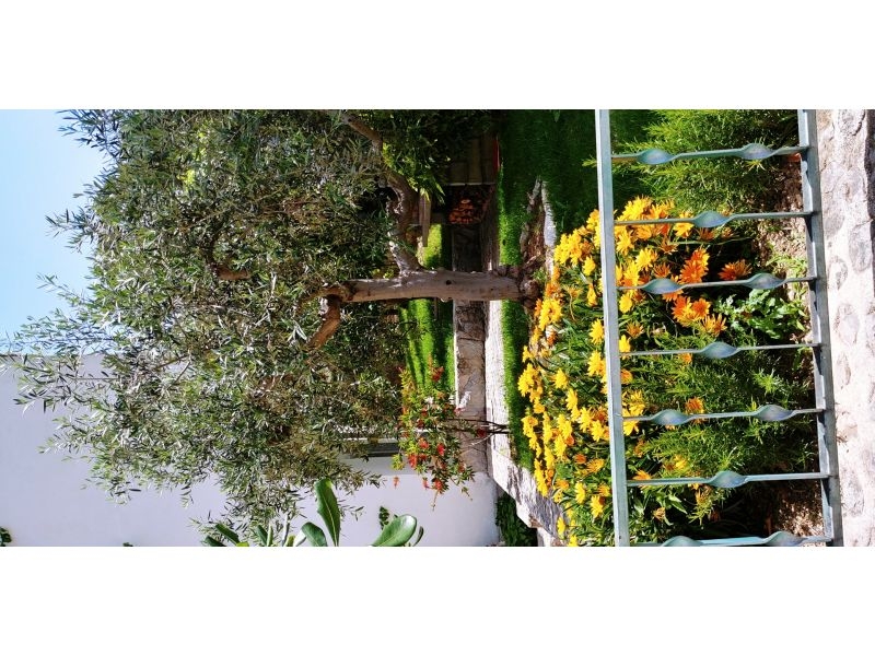 Apartmány Mršić – Ferienwohnung Podstrana, Kroatien – Foto 6