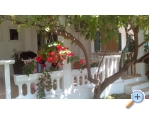 Apartmny Antonia - Podstrana Chorvatsko
