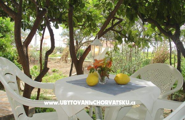 Ferienwohnungen Bougainvillea – Ferienwohnung Podstrana, Kroatien – Foto 2