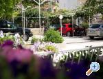 Appartements CAR - Podstrana Croatie