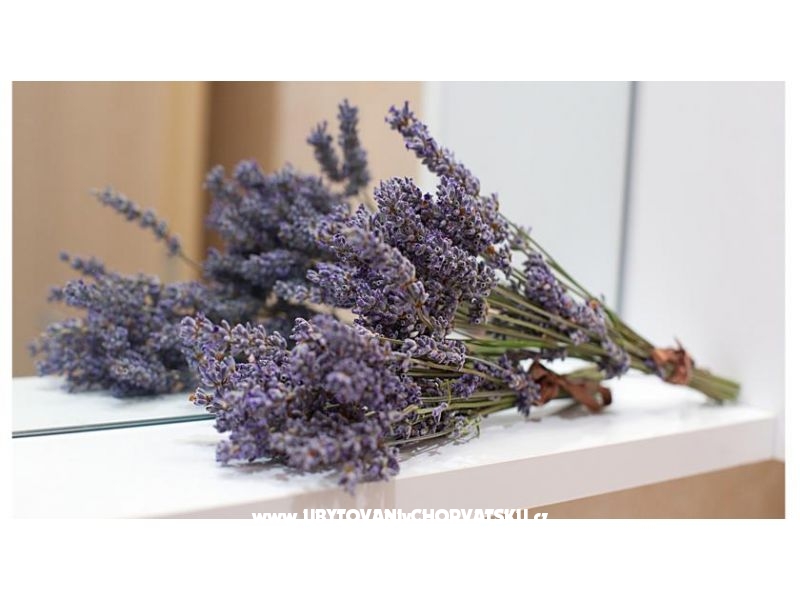 Ferienwohnungen King – Ferienwohnung Podstrana, Kroatien – Foto 10