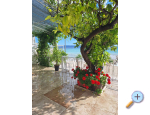 Beach house Ivan &amp; Maca - Podstrana Kroatien