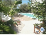 Beach Apartamenty Toni - Podstrana Chorwacja