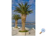 Big apartman for large groups - Podstrana Croatie