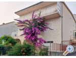 Podstrana Sea View Apartmny - Podstrana Chorvatsko