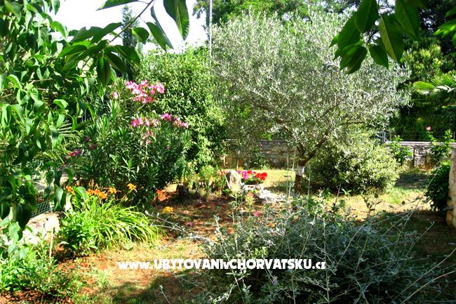 Apartment Nadia – Ferienwohnung Porec, Kroatien – Foto 14