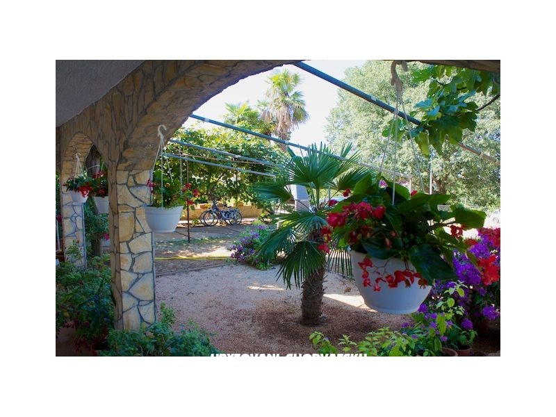 Apartmány Milanović  Poreč – ubytování Poreč, Chorvatsko – foto 16