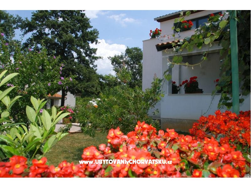 Appartements Bauk – Ferienwohnung Porec, Kroatien – Foto 3