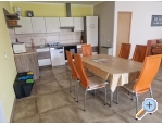 Appartements Dragica! - Pore Kroatien