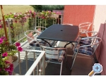 Appartements Dragica! - Pore Kroatien