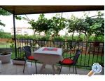 Appartements Dragica! - Pore Croatie