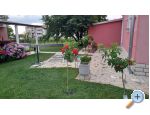 Appartements Dragica! - Pore Croatie