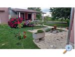 Appartements Dragica! - Pore Croatie