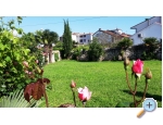 Appartements Gracija - Pore Kroatien