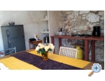 Appartements Gracija - Pore Kroatien