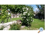 Appartements Gracija - Pore Kroatien