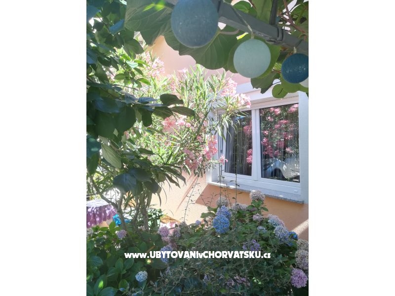 Appartements Lucija – Ferienwohnung Porec, Kroatien – Foto 15