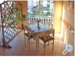 Apartmny Marie - Pore Chorvatsko