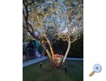 Apartmaji Marie - Pore Hrvaka