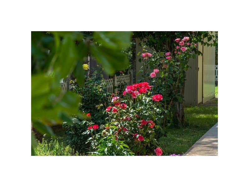 Appartements Stanic – Ferienwohnung Porec, Kroatien – Foto 5