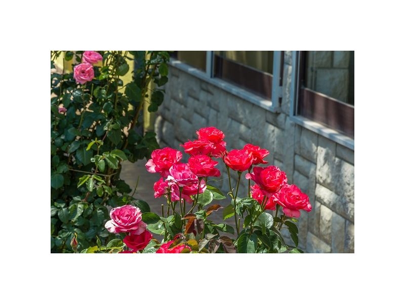 Appartements Stanic – Ferienwohnung Porec, Kroatien – Foto 7