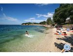 Appartement Brijuni - Pore Croatie
