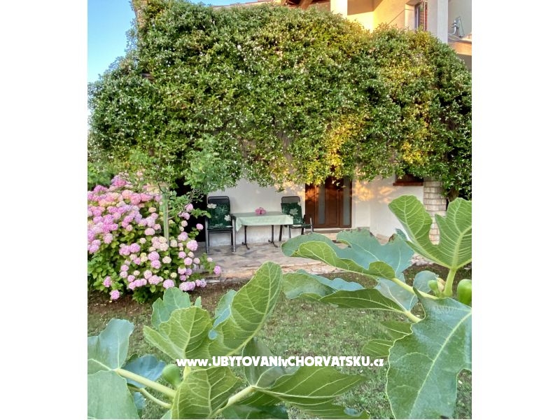 Ferienwohnungen Aleks-Ana – Ferienwohnung Porec, Kroatien – Foto 9