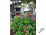 Apartmaji Mara - Pore Hrvaka