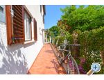 Appartements Danica - Pore Croatie