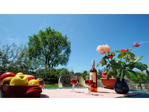 Olivetta Apartments - Pore� Croatia