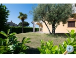 Villa Irena - Pore Kroatien