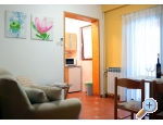 Villa Diana - Pore Kroatien