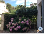 App. Villa Mati - Pore Kroatien