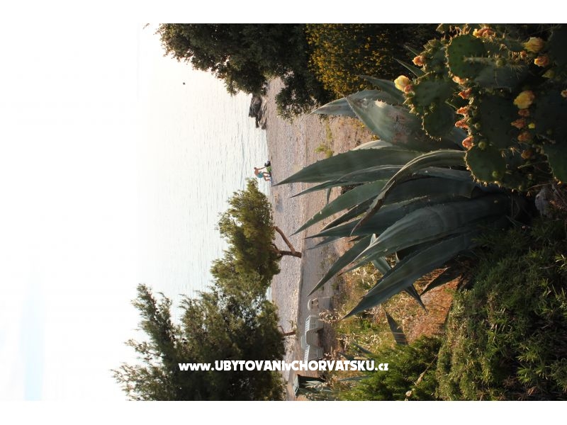 Apartment Brnistra – Ferienwohnung Primosten, Kroatien – Foto 14