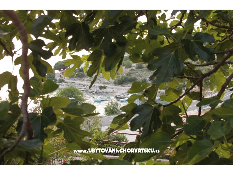 Apartment Brnistra – Ferienwohnung Primosten, Kroatien – Foto 16