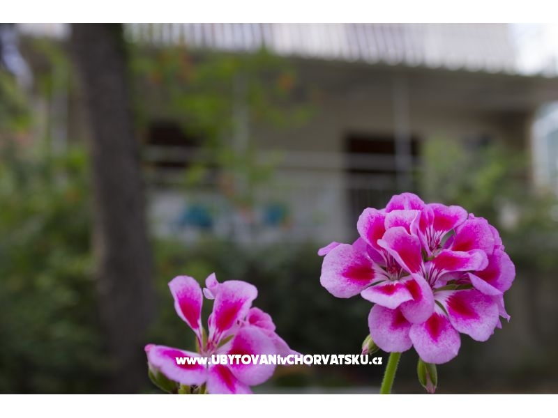 Appartements Porat - PRIMOŠTEN – Ferienwohnung Primosten, Kroatien – Foto 2