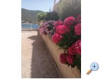 Apartmaji ANTONIA - Primoten Hrvaka