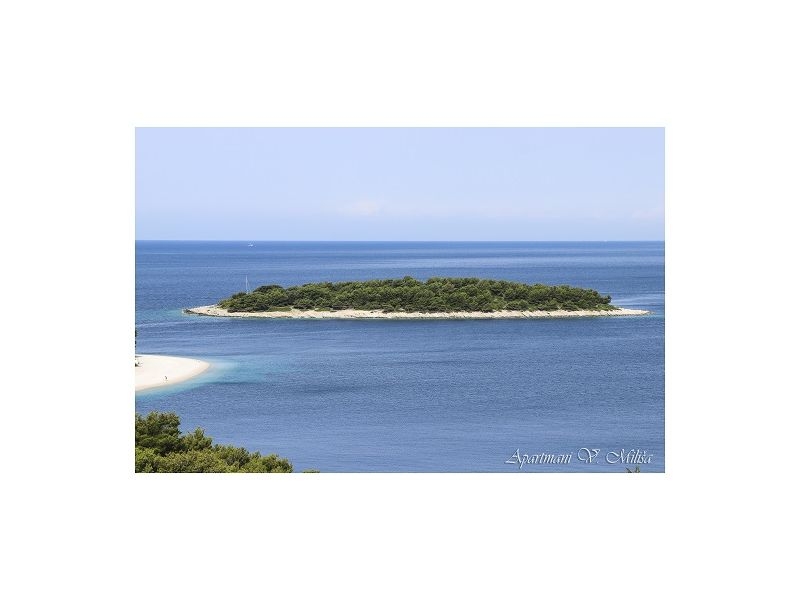 Appartements Miliša – Ferienwohnung Primosten, Kroatien – Foto 17