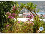 Appartements  ToJo - Primoten Kroatien
