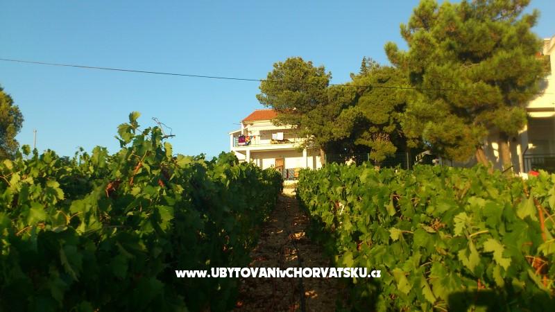 Appartements vila Diana – Ferienwohnung Primosten, Kroatien – Foto 8