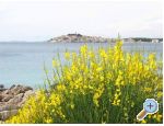 Apartmaji Zvone - Primoten - Primoten Hrvaka