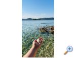 Appartements TONI I IRIS*** - Primoten Croatie