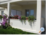 Apartmaji 255 - Primoten Hrvaka