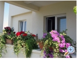 Apartmaji 255 - Primoten Hrvaka