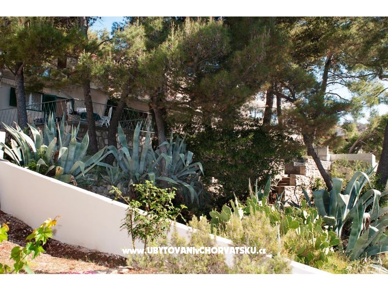Kuća za odmor Vlasta – Ferienwohnung Primosten, Kroatien – Foto 3