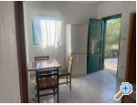 Olive grove - Primoten Kroatien
