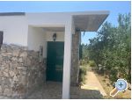 Olive grove - Primoten Chorvatsko