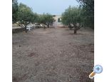 Olive grove - Primoten Chorvatsko