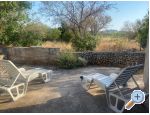 Olive grove - Primoten Chorvatsko