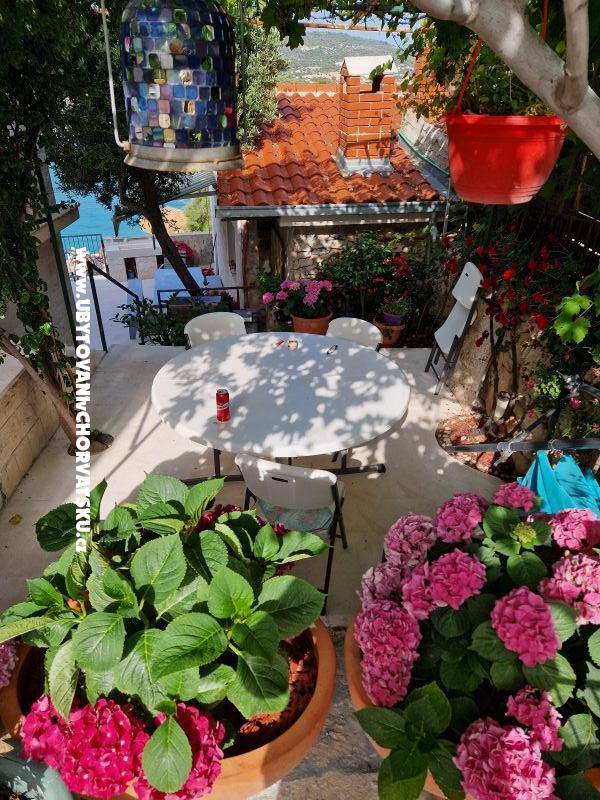 Villa Ivana  – Ferienwohnung Primosten, Kroatien – Foto 44